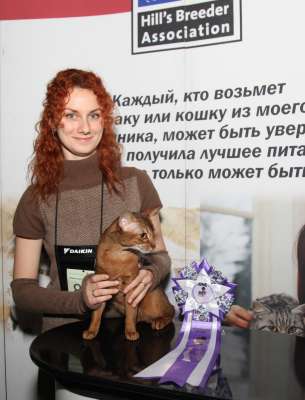 �������� ����� '������� ���-�����' 30 ������-1 ������� 2013., WCF-����� 4285